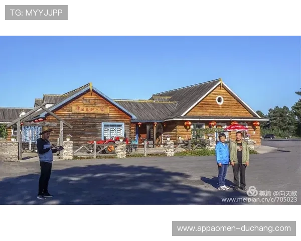 七星线上网址下载:常见问题解决方案与使用体验分享