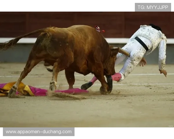 优质真人斗牛网址大全,带你畅玩专业、安全的斗牛游戏网站推荐 优质真人斗牛网址大全,带你畅玩专业、安全的斗牛游戏网站推荐