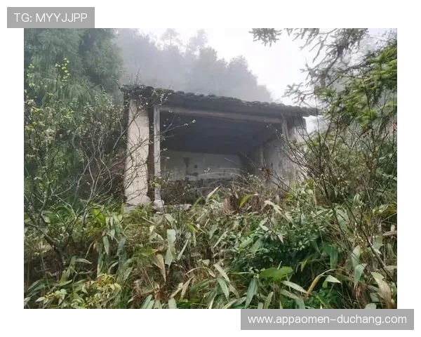 掌握叶汉三株路技巧的详细流程，提升你的农作技术水平