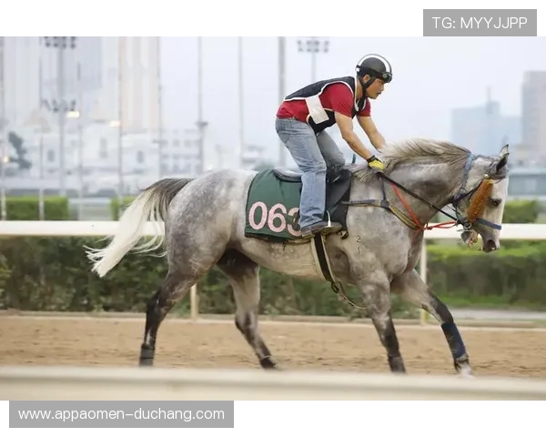 掌握澳门赛马赛事时间表，带你了解每个赛马日的具体安排与亮点赛事